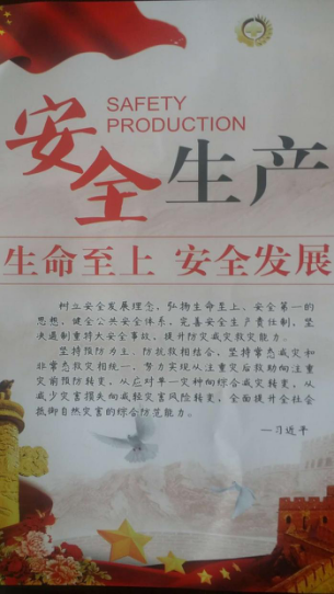 九州体育·（中国）手机网页版 组队参加省级“安全生产月”咨询日活动